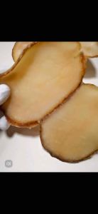 Red Sea Dried Scallop Lace 200g Sea Conch