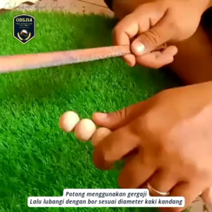 mute mote kayu isi 12 pcs accessories kaki tebok kayu sangkar kandang burung