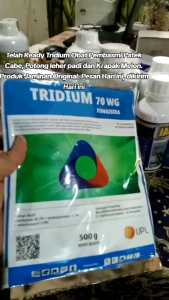 TRIDIUM 70 WG 500 gram Mankozeb + Azoksistrobin + Tebukonazol pembasmi hawar daun patek cabe Lodoh dan krapak pada tanaman