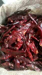 ( 500grm ) CABE MERAH ( SANAM ) tidak pedas