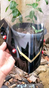VISOR SATRIA FU FACLIFT PLUS BAUT WINDSHIELD SATRIA FU FACLIFT PLUS BAUT