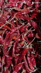 CABE RAWIT KERING MERAH TEJA JAPLAK 1Kg SUPER PEDAS