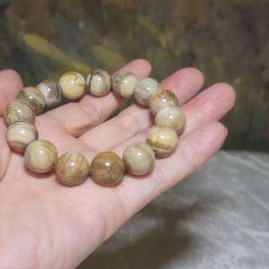 Gegegems Collection 14mm+ premium Madagascar Petrified Wood natural pattern bracelet [Natural Crystal]