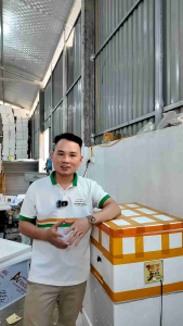 Trứng chim trĩ combo 10 quả có thể ấp nở