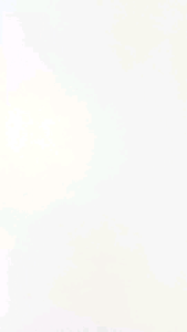 Dakota Sneakers Buttonscarves