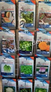 เมล็ดพันธุ์ ดาวเรือง สีทองเข้ม ดอกใหญ่10-12 ซม. (อัตรางอก 95%)