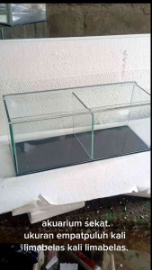 akuarium sekat 40x15x15 untuk chana
