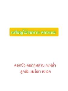 100ชิ้น คละแบบ เหรียญโปรยทานตัวเปล่าคละสี คละทุกแบบของร้าน