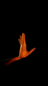 Tas tungtung sahur/tas ransel anak sekolah karakter virall trending masa kekinian/tas sd/tas tk/tas sekolah anak laki-laki perempuan motif karakter terbaru laris virall kekinian 2025 bisa COD