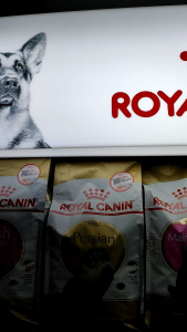 ROYAL CANIN MAINE COON CAT DRY FOOD & WET FOOD POUCH