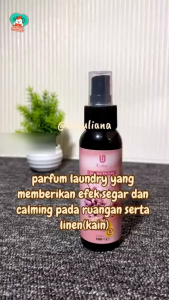 Parfum Laundry Romantic Wish - Room & Linen Spray Anti Bacterial