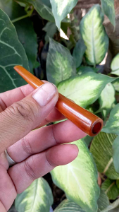 ONCEE CANGKLONG BALUNG WAYKAMBAS PREMIUM SIZE KANTORAN