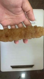 Natural Wild Sea Cucumber | Harvested from Deep Sea | No Preservatives Premium Quality