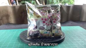 ฟูจิ พลัม บ๊วยซากุระ ขนาด 40 กรัม จำนวน 6 ชิ้น