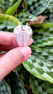 Cincin Perak 925: Aksesori Perhiasan Elegan untuk Sehari-hari