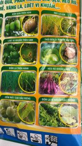 Thuốc trừ khuẩn Giáo sư khuẩn 6wp trừ nấm bệnh vi khuẩn bạc lá thối gốc loét sương mai cây trồng gói 500g bột mịn tan nhanh