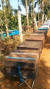 1 Lít Mật Ong hoa cà phê Đăk Lăk  nguyên chất đến từng giọt mật cam kết chuẩn chất lượng đúng thể tích trọng lượng.