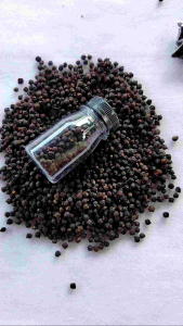 Buah Angkung Kering Obat Setruk Alami Isi 150 Biji