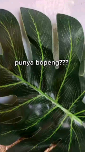 PAKET BUNDLING UNTUK BOPENG | SR12 | SERUM REVITALIZING | HERBAL SOAP BULUS | MEMBANTU MERAWAT KULIT BOPENG | MENGECILKAN BOPENG | BOPENG AKIBAT JERAWAT | MENGHALUSKAN KULIT | MELEMBABKAN KULIT | KULIT SEHAT | KULIT MULUS | RANGKAIAN SKINCARE |