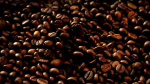 5 ลิตร - 10 ลิตร Pettosan เพ็ทโตะซัง ทรายแมว ขนาด 5 และ 10 ลิตร บริษัท Pettosan