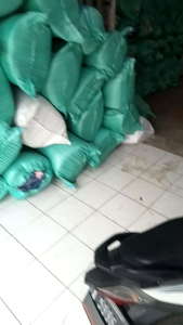 FROMO KASUR BUSA D26 KUALITAS SUPER EMPUK UKURAN 180x140x10CM