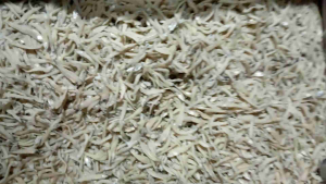 Ikan Asin Teri Nasi / teri medan MuRaH