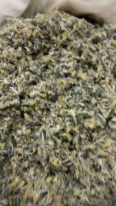 หญ้าชิวคัก 50-500กรัม หญ้าใส่ขนมเทียน หอมใหม่เขียว กดคูปองส่งฟรีก่อนสั่ง💥พร้อมส่ง