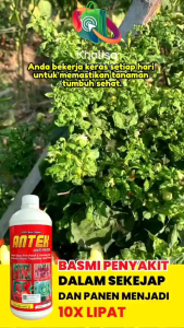 Pupuk Antek Anti Patek dan keriting daun 1 Liter BELI 3 FREE 1 TERAMPUH