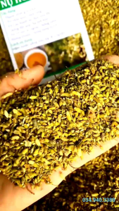 Trà hoa hoè 500g sấy khô nguyên nụ thượng hạng giúp thanh nhiệt