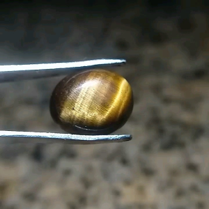 Asli Batu Akik Biduri Sepah Ukuran Kecil 12cm A24