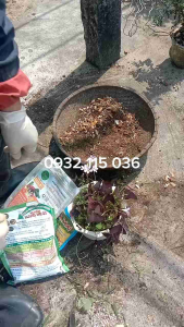 Gói 1kg Nấm 6 Trong 1 Vi Sinh Phòng Bệnh Cho Cây Giúp Cây Phát Triển Rễ Mạnh