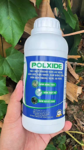 POLXIDE 500ml – Hỗ Trợ Xử Lý Nấm Ao Nuôi Dễ Hòa Tan Trong Nước Dùng Cho Tôm Cá Lươn Ếch