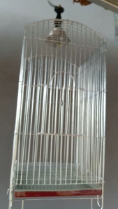 kandang burung pleci/colibri uk lebar 20x20 tinggi 40 cm bisa d lopat.
