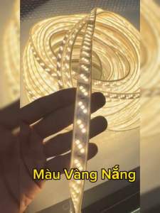 COMBO 10m 20m 30m Dây LED 3 Hàng Hắt Trần Thạch Cao cuốn cây Led Dây 3 Mắt Chéo Chống Nước