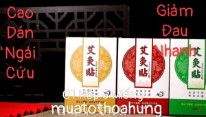 Cao Dán Ngải Cứu Cao Cấp Miếng Dán Thảo Dược Dành Cho Người Đau Mỏi Hộp 05 Miếng Dán