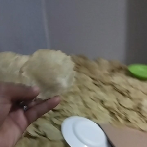 EMPING MELINJO MENTAH 250 GRM 500 grm