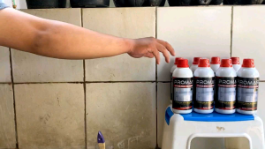 promas Celamic cleaner pembersih Celamic