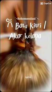 Hiasan Batu Kitri / Akar kelapa