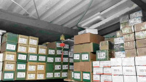 rơle nhiệt Schneider  hàng mới nguyên hộp