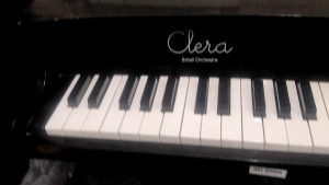 Affordable Clera Small Orchestra Mini Piano MP1000 - 25K / BK 😍👌 solid wood see pic for minimal issue