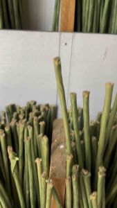 Kẽm cành làm hoa (combo 10) - uốn cong được