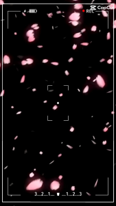 Celana Kerja Wanita Profesional: Tips Memilih & Mengenakannya