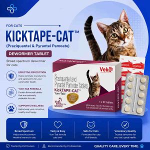 KickTAPE-CAT Yum-Tab 10 Tablets | Praziquantel + Pyrantel Pamoate | Cat Dewormer