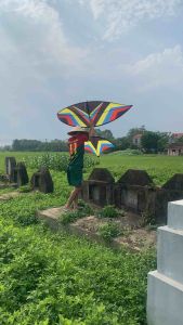 Sáo đơn d30 d35 thik hợp thả diều 1m7 đến 2m