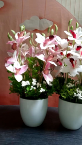 GUBAHAN BUNGA ORCHID LATEX MURAH WARNA PINK DAN JUGA PUTIH