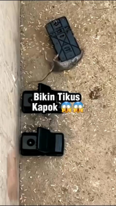 perangkap tikus jepitan ampuh efektif semua tikus