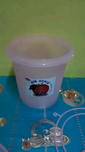 10L Big Apple Bucket Pail with Handle: A Lightweight Food Storage Solution