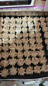 Dimsum mini Frozen 25pc