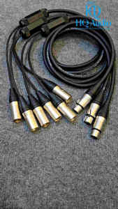 Dây canon 1 đầu  cái  ra 2 đầu  đực lõi.Dây  Jiasound  lõi đồng nguyên chất mềm dẻo chống nhiễu tốt (giá  1 sợi)