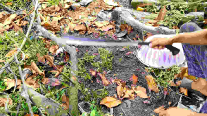 pisau patimura panjang 70cm super tajam dan kuat
